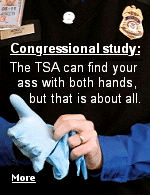 ''A Decade Later: A Call for TSA Reform'' calls the TSA a bloated and inefficient bureaucracy with 65,000 workers, and a buyer of inadequate technology.